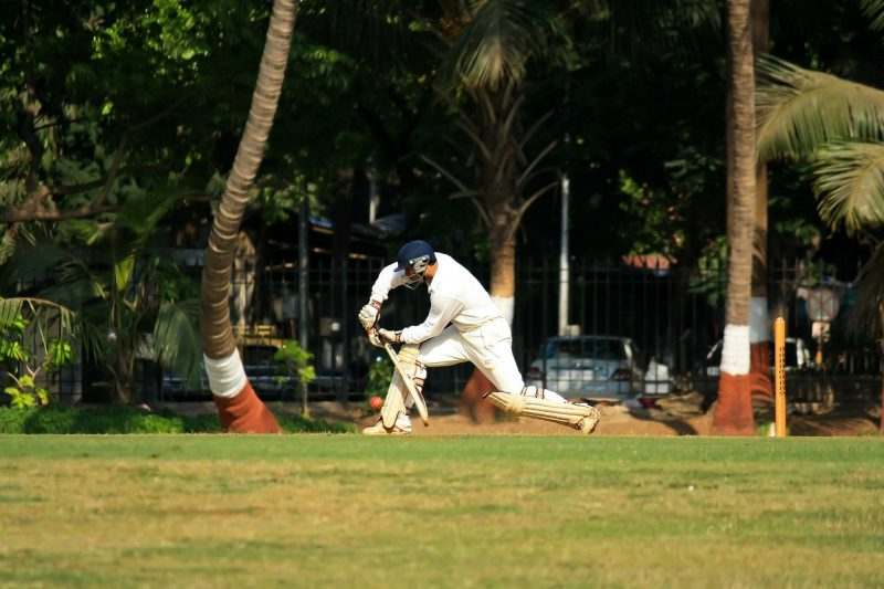 cricket