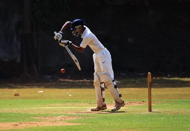 cricket-man is playing cricket